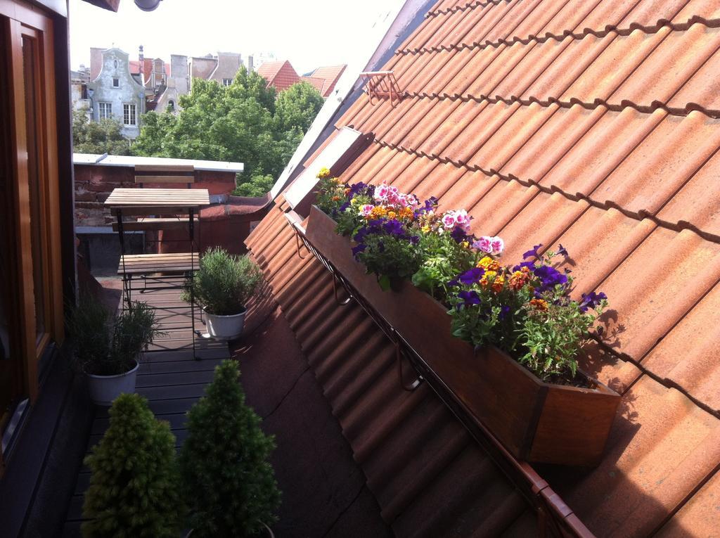 Piwna * Gdańsk